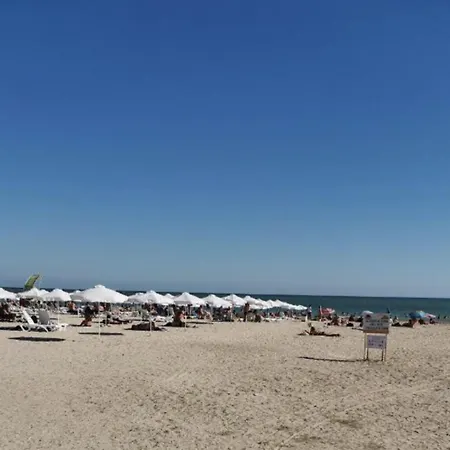 Deva Μπαλτσίκ